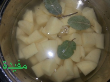 بطاطا بالكرافس3