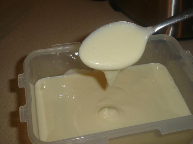 mayonnaise dyal toma5