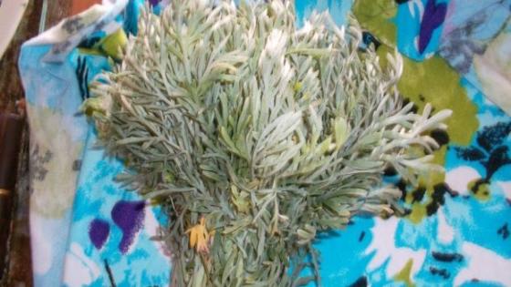 عندك الشيبة فالدار؟؟ اجي تشوفي كيفاش كنستعملها لشعري لي كيطيح و دعي معايا!!