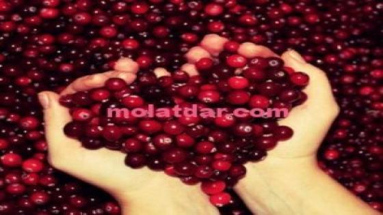 العنب البري والأحمر يقويان المناعة في الجسم
