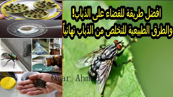 طرد الذباب من المنزل بطريقة فعالة