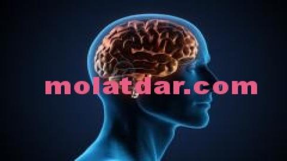 طرق علمية مُجرّبة تُنشِّطُ الذاكرة وتحلُّ لغز النسيان