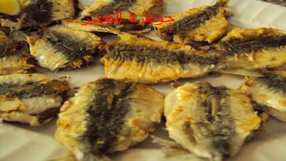 طريقتي في قلي السردين بلا زيت